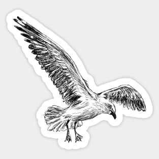 Seagull Print Sticker